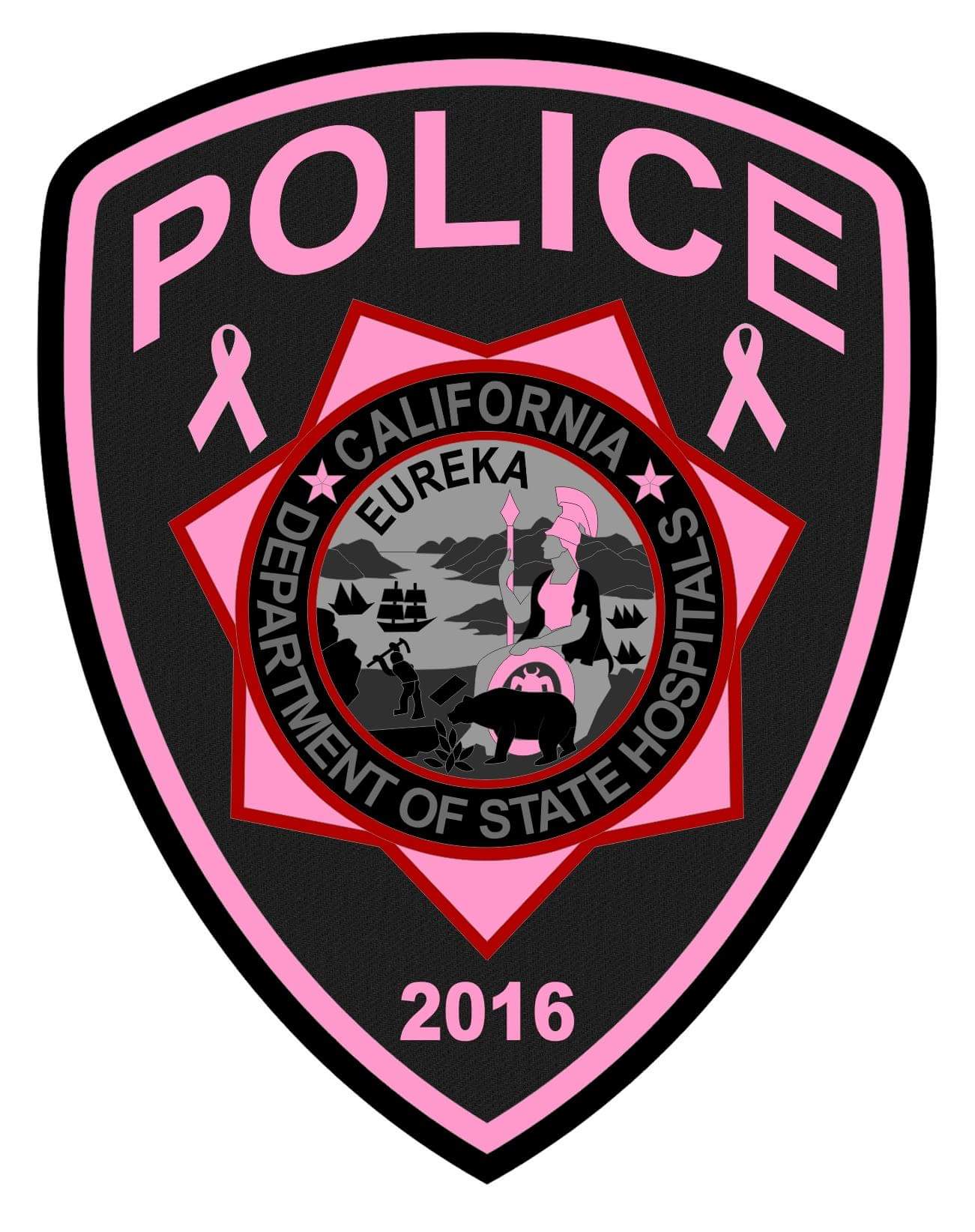 Metro State Hospital